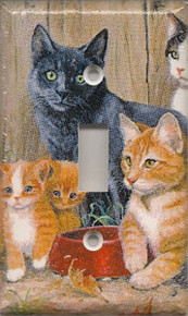 Cats - Single Switch 1153b-S