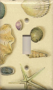Tan Shells - Single Switch