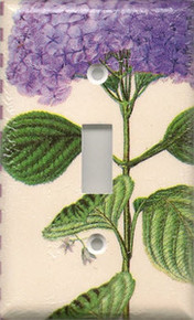 Purple Hydrangea - Single Switch