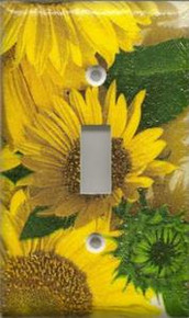 Sunflowers - Single Switch