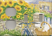 Beach Picnic - Triple Combo Outlet & Switch & Switch
