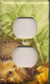 Hedgehogs - Outlet