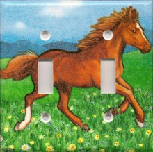 Pony - Double Switch