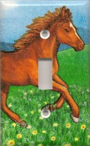 Pony - Single Switch