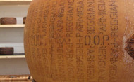 Parmigiano Reggiano DOP Superiore