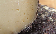 Pecorino in Vinaccia