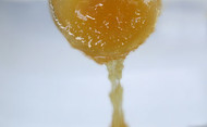 Thistle Honey 250g