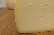 Fontina