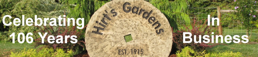 Hirt's Gardens