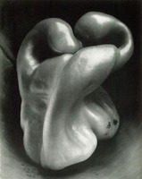 Pepper, Edward Weston, 1930