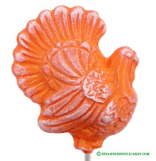Thanksgiving Turkey Lollipop