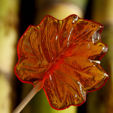 Maple Syrup Maple Leaf Stirrer
