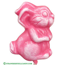 Easter Bunny Lollipop