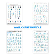 BUNDLE: Tai Chi Wall Charts