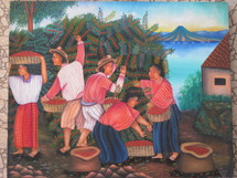 Gaspar Navichoc  -- Corte de Cafe, Atitlan