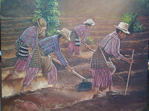 Otto Gonzalez -- Field workers, Solola