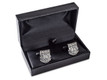 Silver in Case