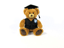 Graduation Bear