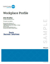 Everything DiSC Workplace Profile