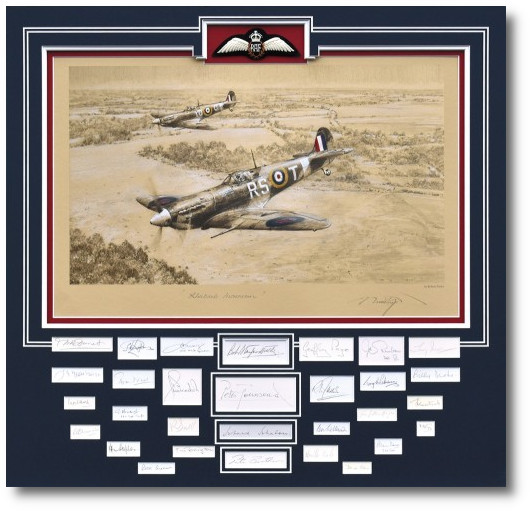 P-51 Mustang Normandy Tiger Hunt by Heinz Krebs w/ 7 additional signatures