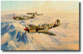 Desert Hawks Aviation Art