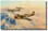 Desert Hawks Aviation Art