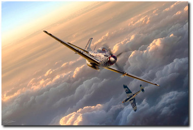 Deadly Doll Aviation Art
