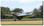P-51 Takeoff Aviation Art