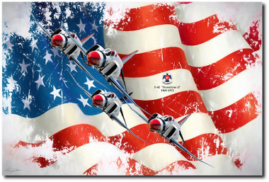 Thunderbirds F-4e Phantom II Aviation Art