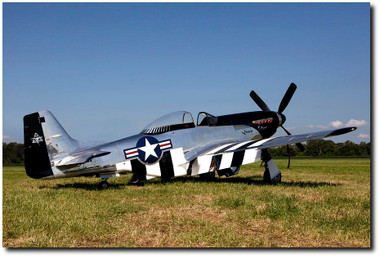 The Quick Silver Gene Aviation Art