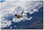 Raf 11 Sqn Binbrook Aviation Art