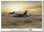 Return Of The Ravens Aviation Art
