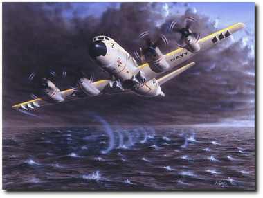 Madman by Don Feight - Lockheed P-3C Orion