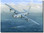 Navy Lib by Don Feight - B-24 Liberator Aviation Art
