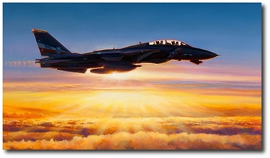 In the Courtyard of God by Rick Herter - Navy F-14 Tomcat Aviation Art