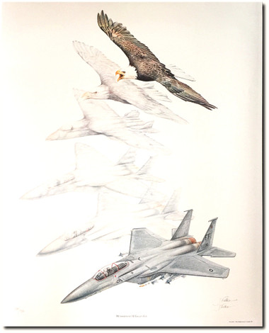 Metamorphosis III: Eagle's Eye by Jody Sjogren Aviation Art
