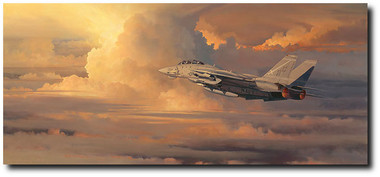 Into the Throne Room of God by William S. Phillips - F-14 Tomcat Aviation Art