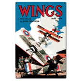  Wings Novel Cover 