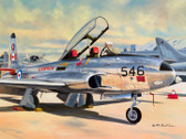 Star of the Show (Star-of-the-Show)  Aviation Art