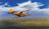 Wichita Classic (BUC-04) Aviation Art