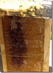 extract honey