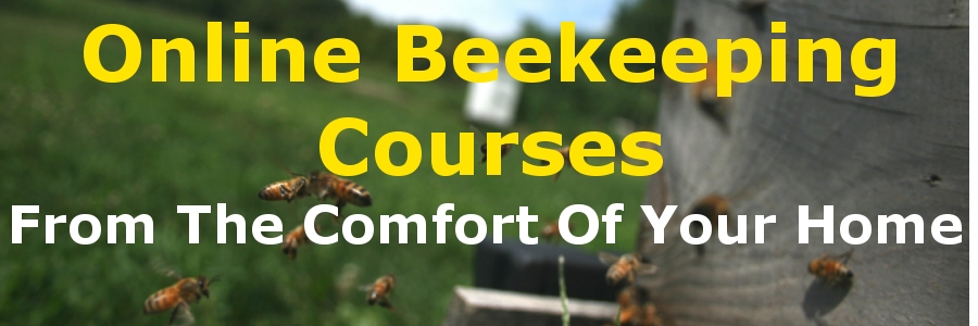 Beekeeping Online Courses