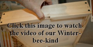 Feeding Bees In The Winter