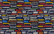 NFL All Teams FLEECE Print