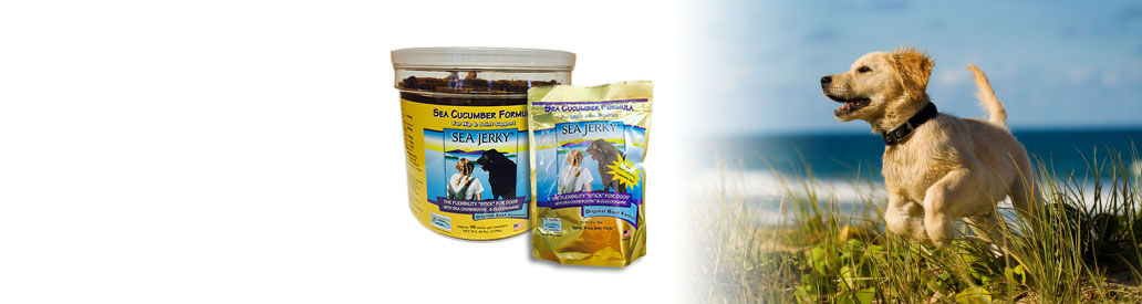 Sea Jerky: The original patented flexibility treat for dogs
