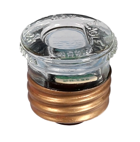 Glass Plug Fuse 30 Amp Screws on Breaker Outlet