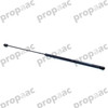 AMORTIGUADOR COFRE AUDI A4 02-08 (BRUCK)