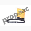 BANDA DENTADA (TIEMPO) ESCORT 1.9 LTS 94