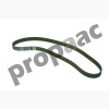BANDA DENTADA (TIEMPO) FIAT PALIO 1.6 LT