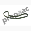 BANDA DENTADA (TIEMPO) NEON STRATUS 2.4L